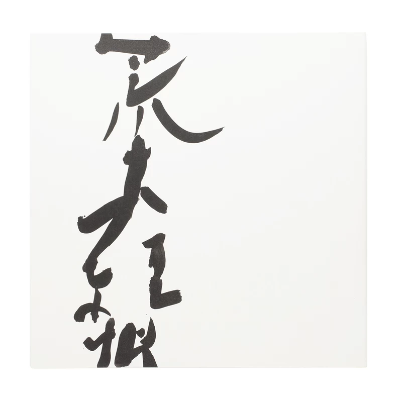 MUJO - Nobuyoshi ARAKI | shashasha - Photography & art in books