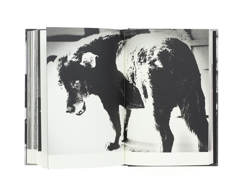 Daido Moriyama: Terayama (日本語版） - 森山大道 | shashasha 写々者