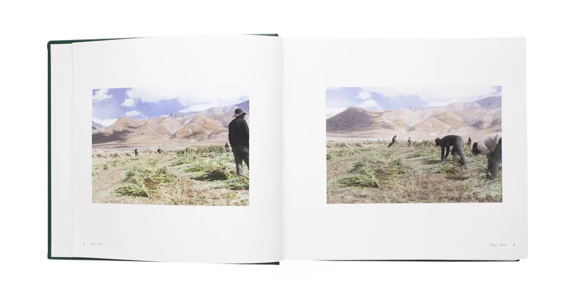 いつも世界は遠く、 - 上田義彦 | shashasha 写々者 - 写真集とアート