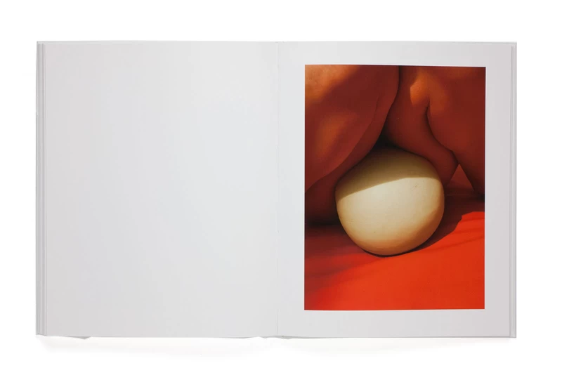 OF MUD AND LOTUS - Viviane SASSEN | shashasha - Photography & art