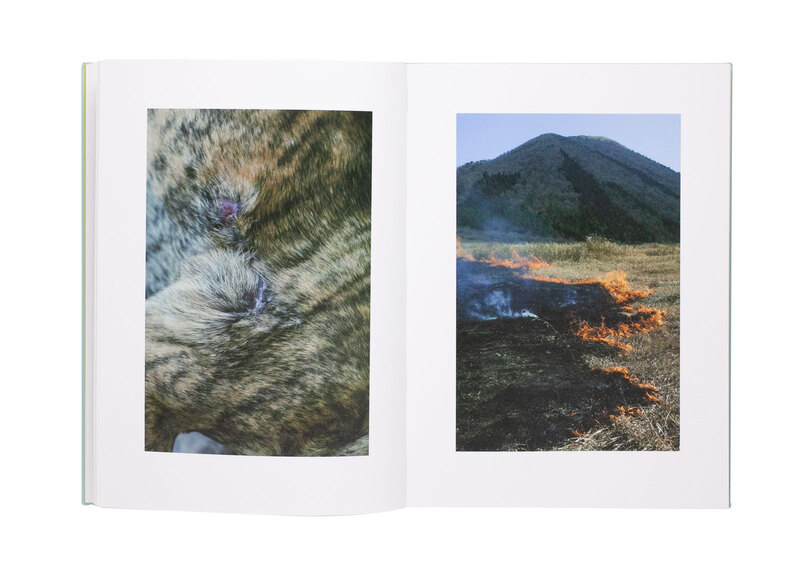 HAROSHI  2003 - 2021  全作品画集 Haroshi 2003 - 2021 - Haroshi | shashasha 写々者 - 写真集と