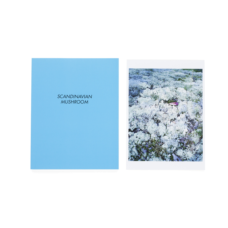 SCANDINAVIAN MUSHROOM: Special Edition - ホンマタカシ