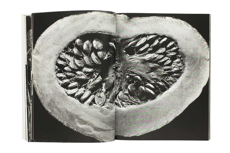 Hokuto no Machi - Hiroyasu NAKAI | shashasha - Photography & art