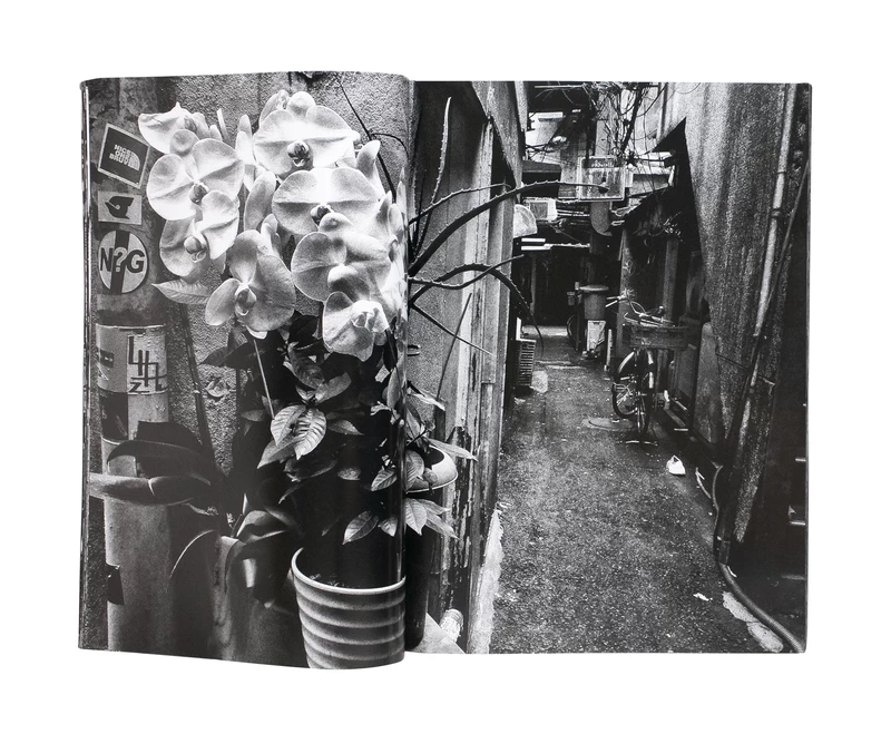 Record No. 46 - Daido MORIYAMA | shashasha - Photography & art in