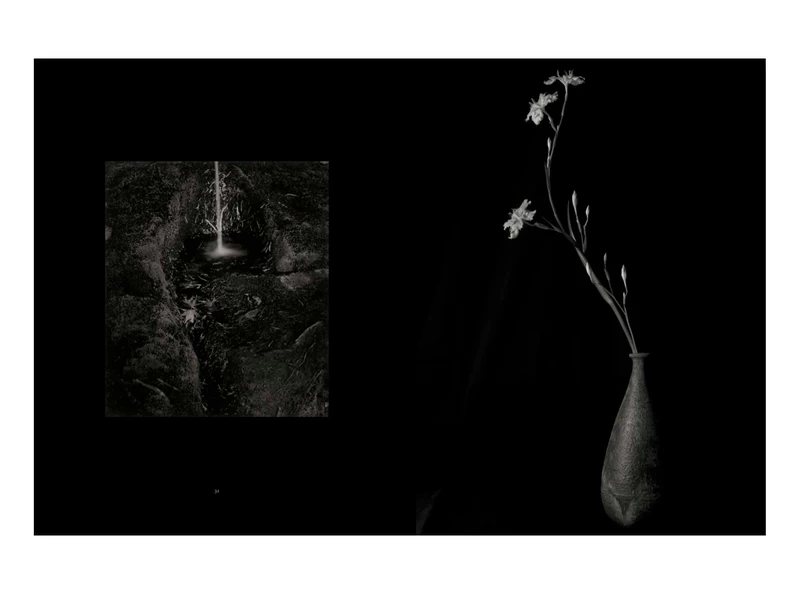 still life / 井津建郎 still life / 井津建郎 Kenro Izu: Still Life 井津建郎 - 古本買取