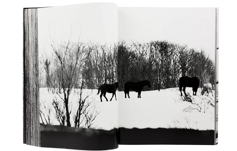北海道 - 森山大道 | shashasha 写々者 - 写真集とアートブック