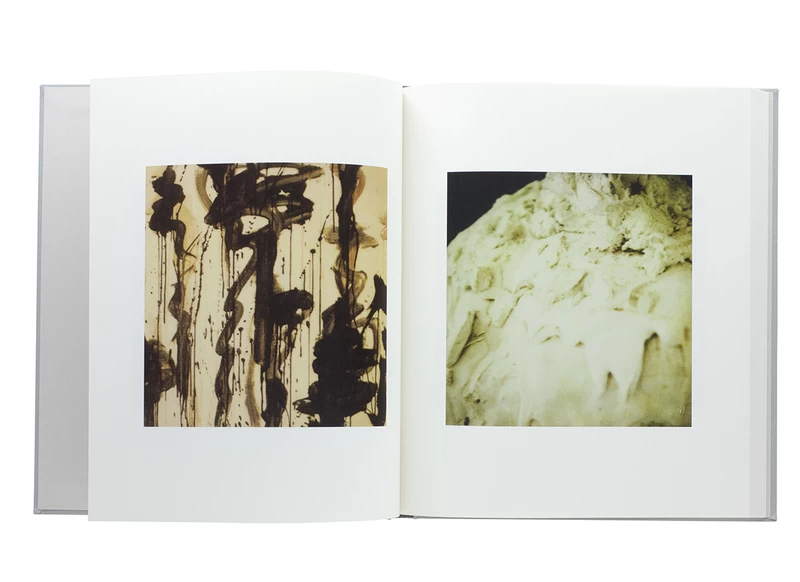 Cy Twombly Photographs - Cy TWOMBLY | shashasha - Photography