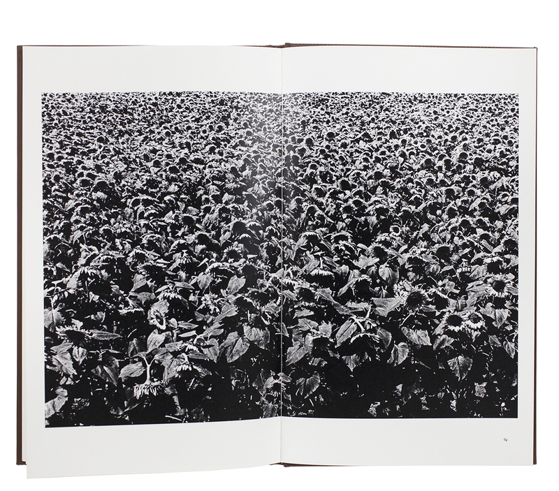 【Sunflower ： Daido Moriyama】森山大道 　新品署名入り Daido & Flowers Book : Sunflower（Signed） Photo : 森山 大道