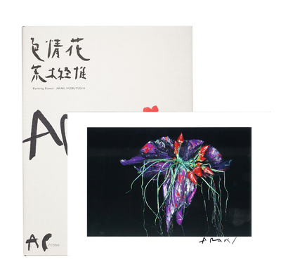 Nobuyoshi ARAKI - 荒木経惟 | shashasha - Photography & art in books
