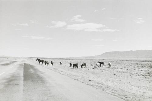 Henry WESSEL - ヘンリー・ウェッセル | shashasha