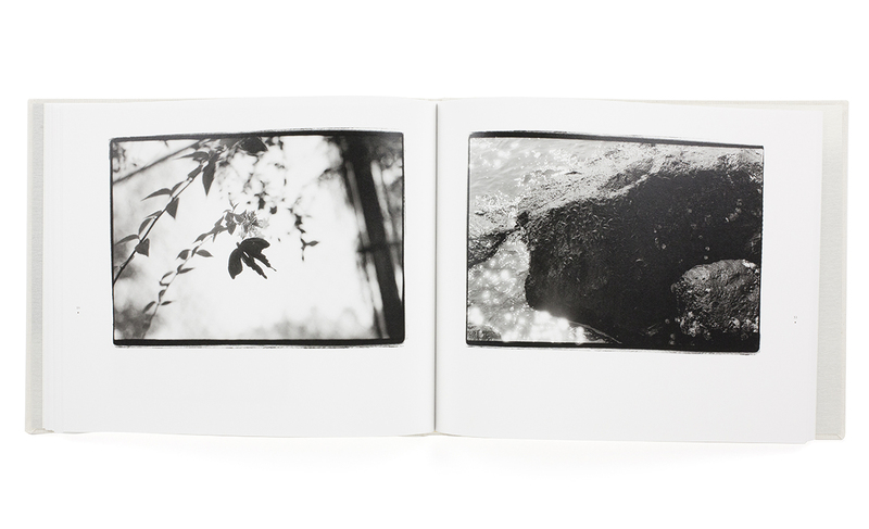 Tokoyo no mushi - Yoshiichi HARA | shashasha - Photography
