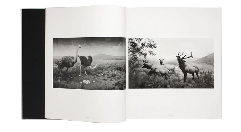 Time Machine - Hiroshi SUGIMOTO | shashasha - Photography & art in