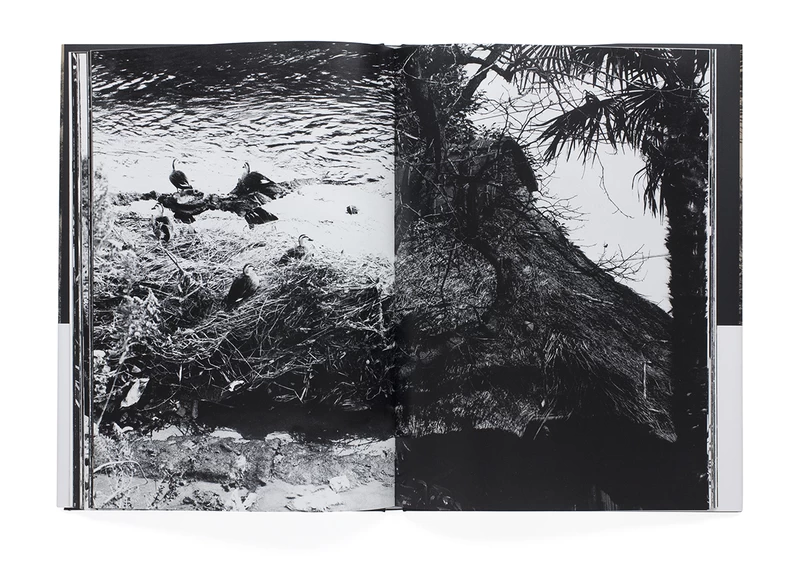 ADIEU A X - 中平卓馬 | shashasha 写々者 - 写真集とアートブック