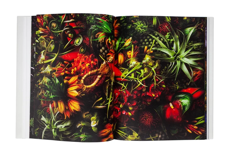 Encyclopedia of Flowers Vol. V - Shunsuke SHIINOKI, Makoto AZUMA