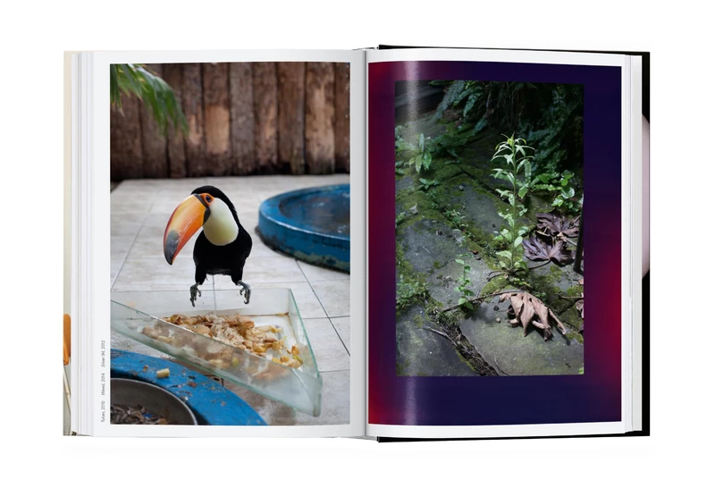 Wolfgang Tillmans. Four Books. 45th Ed. - ヴォルフガング Wolfgang Tillmans. Four Books. 45th Ed. - ヴォルフガング
