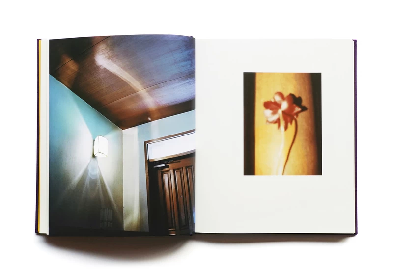 Flowers - 奥山由之 | shashasha 写々者 - 写真集とアートブック