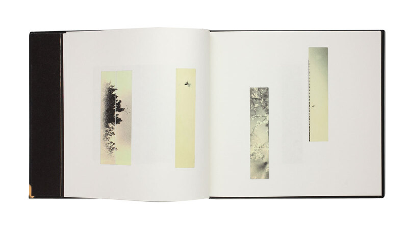 スーパーセール 目玉商品 Flowers 写々 shashasha | 梶岡美穂 - Come Butterflies Bloom, アート・デザイン・音楽