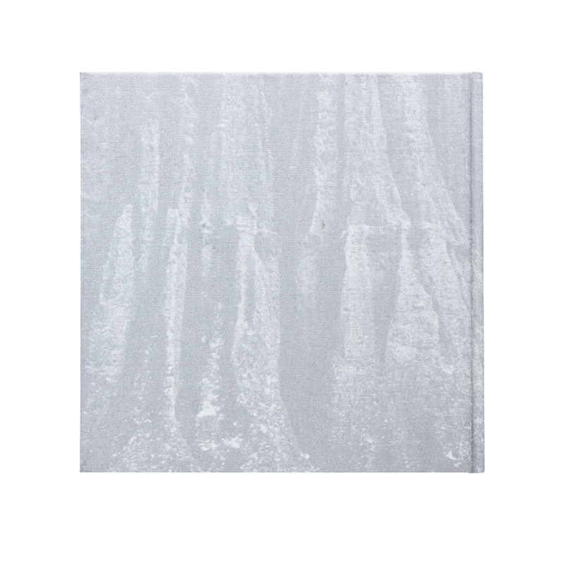 Shin Yanagisawa Untitled 1000部限定 Untitled - 柳沢信 | shashasha 写々者 - 写真集とアートブック