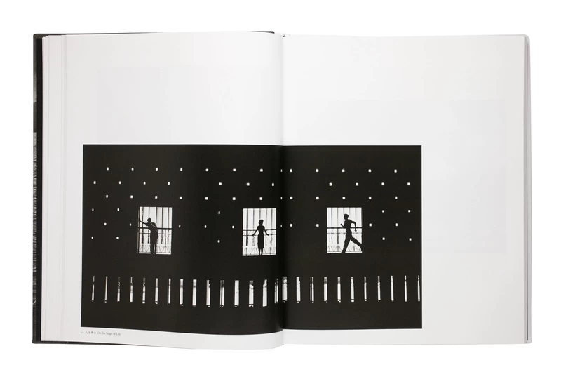 Photography. My Passion. My Life. - Fan HO | shashasha