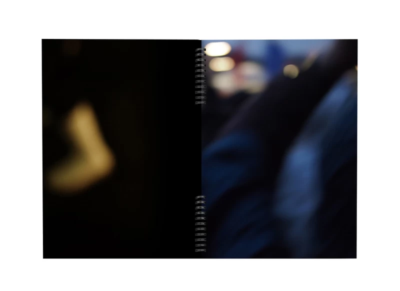 Sokohi - Moe SUZUKI | shashasha - Photography & art in books