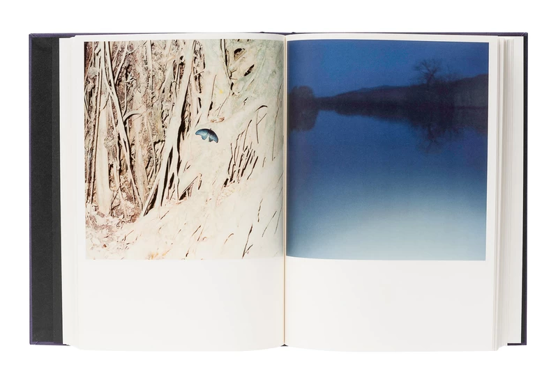 Illuminance: The Tenth Anniversary Edition - 川内倫子 | shashasha