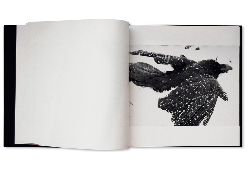 Ravens - Masahisa FUKASE | shashasha - Photography & art in books