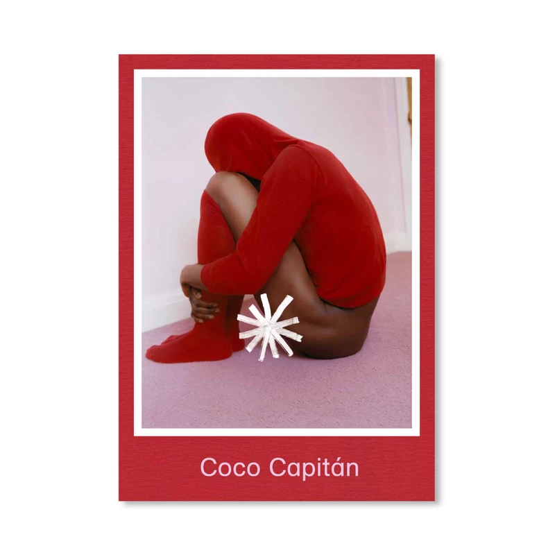 Coco Capitan ココ・カピタン　Busy Living 写真集・新品 kRkjZAIcP_P7aXXA.webp