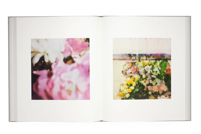 Cy Twombly Photographs: Lyrical Variations - Cy TWOMBLY