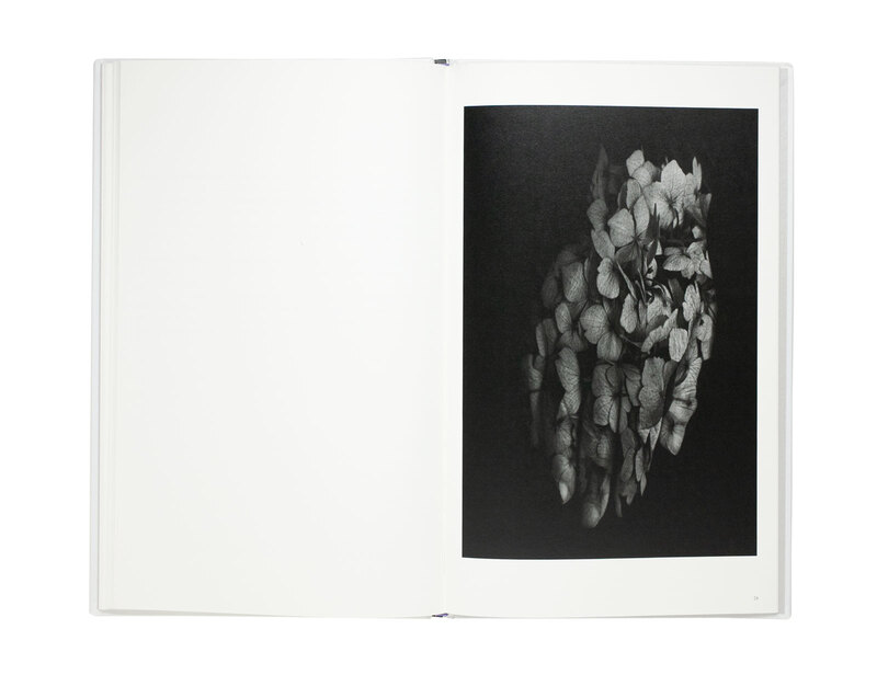 a priori - Yoko MAZUKI | shashasha 写々者 - Photography & art in books