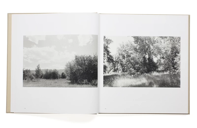 Tree line - The Hasselblad Award 2009 - ロバート・アダムス