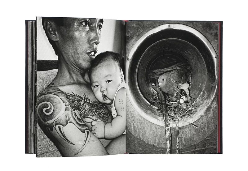 The Best Days (New Edition) Special Edition (B) - YANG Seung-Woo