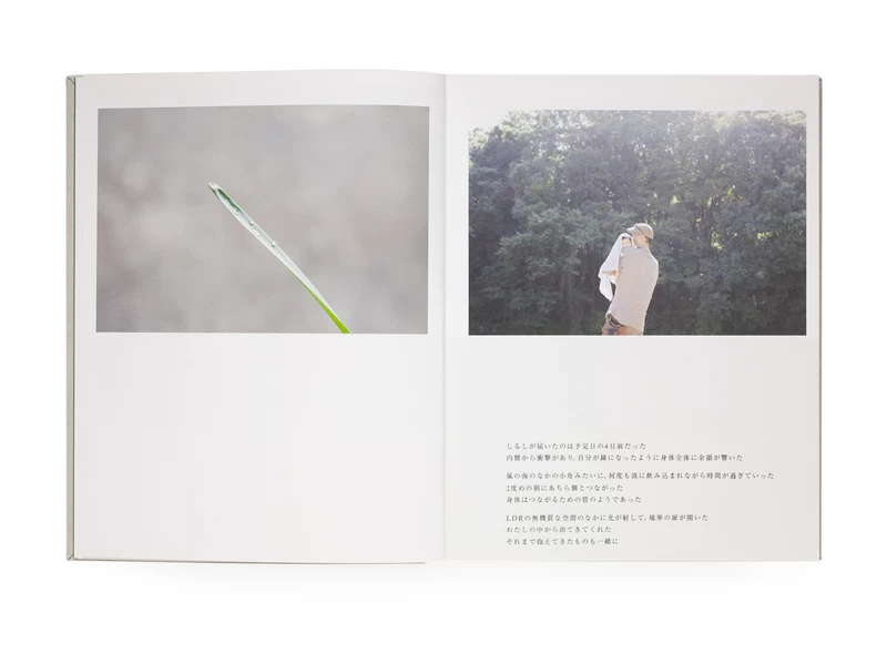 as it is - 川内倫子 | shashasha 写々者 - 写真集とアートブック