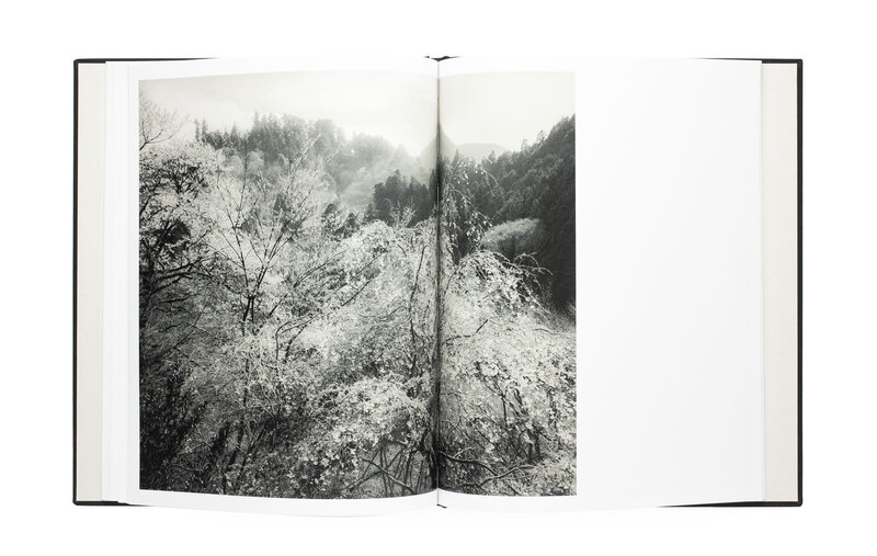 Yuka & The Forest A - Lena C. EMERY | shashasha - Photography