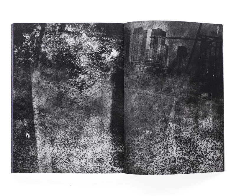 MATTER / BURN OUT - Daisuke YOKOTA | shashasha - Photography & art