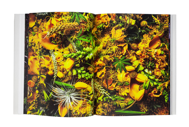 Encyclopedia of Flowers Vol. V - Shunsuke SHIINOKI, Makoto