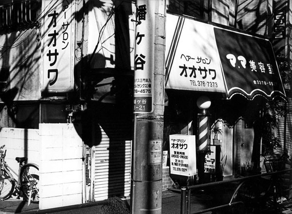 島の力 ブレーンセンター 百々 武 - 自然、風景 - 自然、風景