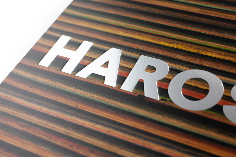 Haroshi 2003 - 2021 - Haroshi | shashasha - Photography & art in books