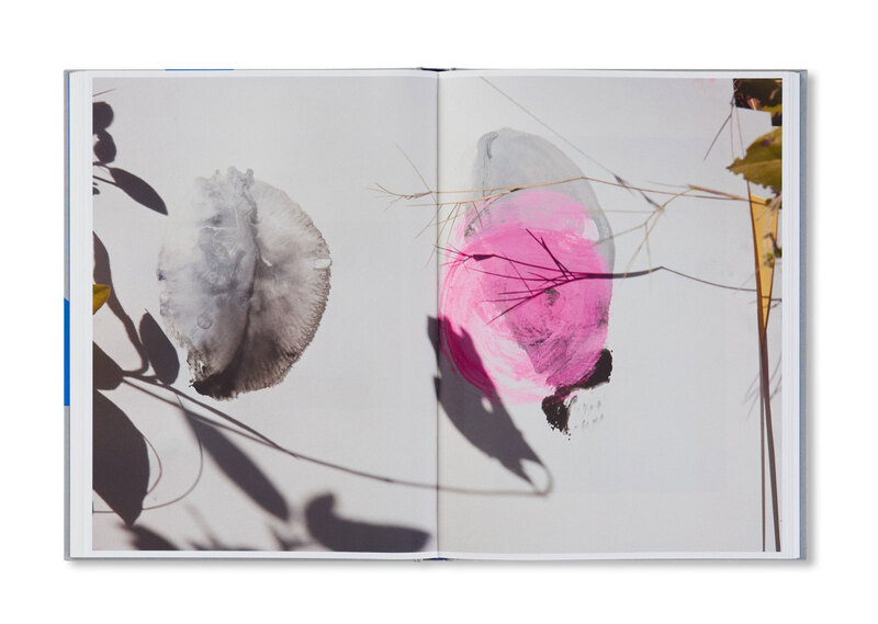 ROXANE II - Viviane SASSEN | shashasha - Photography & art in books