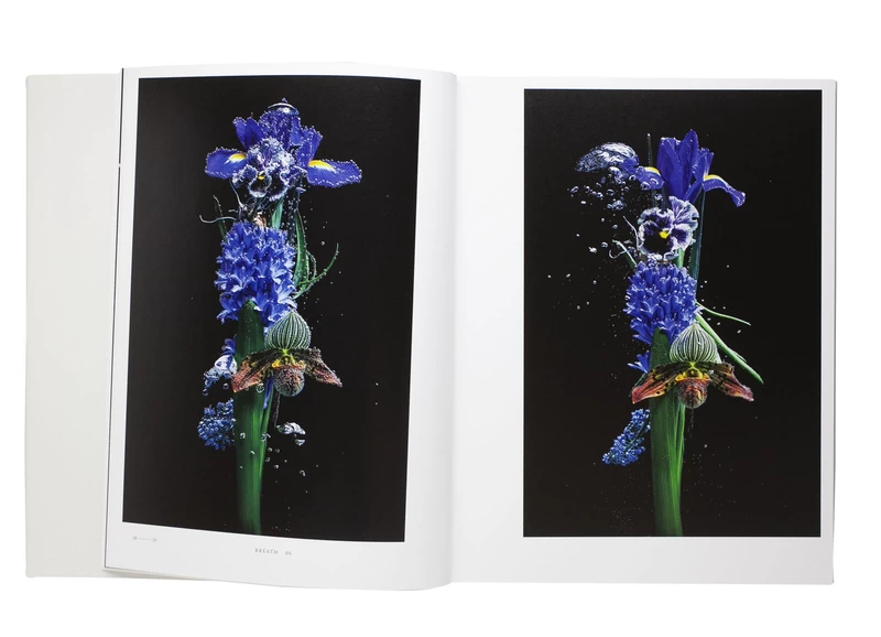 Encyclopedia of Flowers Vol. VI - Makoto AZUMA, Shunsuke SHIINOKI
