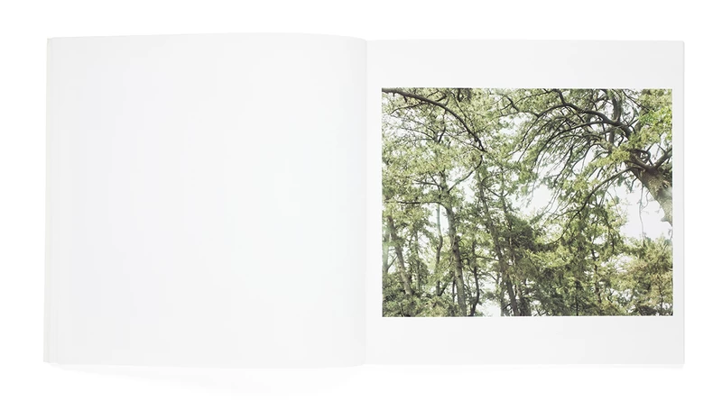光と重力 - 今井智己 | shashasha 写々者 - 写真集とアートブック