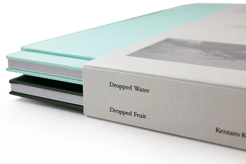 Dropped Water, Dropped Fruit - 公文健太郎 | shashasha 写々者