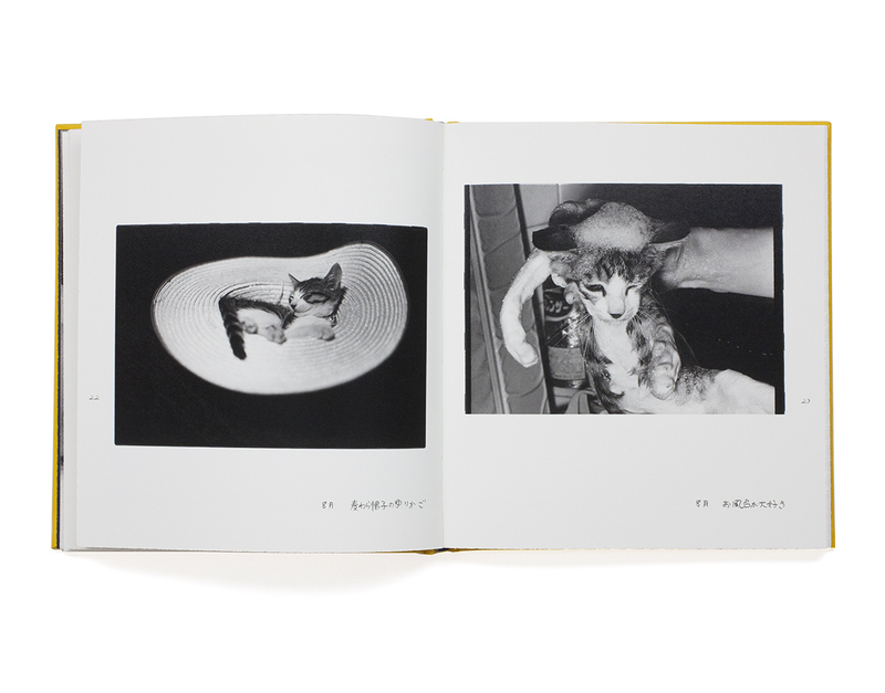 Afterword special edition - Masahisa FUKASE | shashasha ...