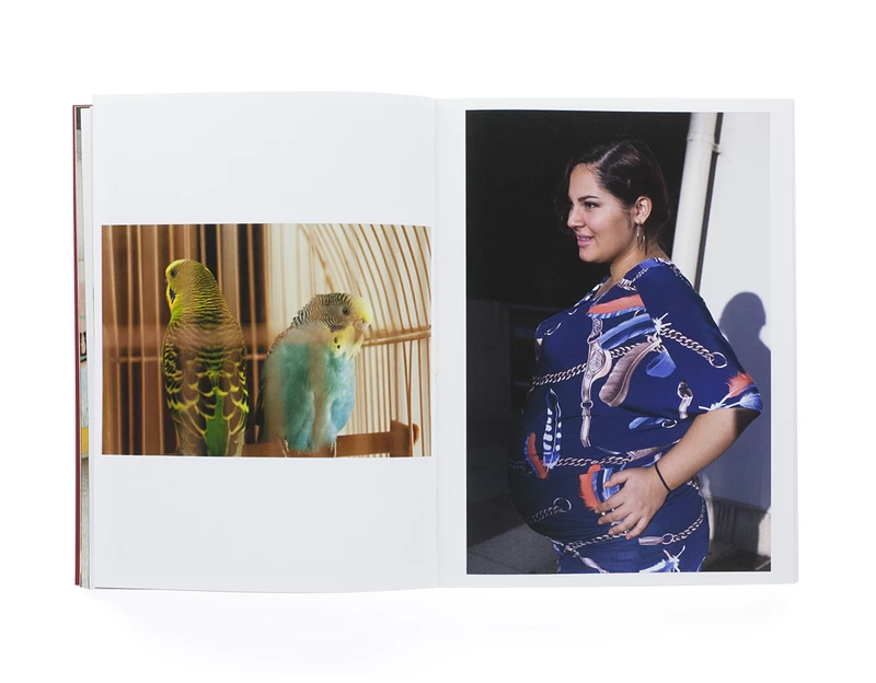 Familia 保見団地 - 名越啓介 | shashasha 写々者 - 写真集とアートブック
