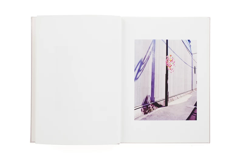 Showa 88 - Kazuyoshi USUI | shashasha - Photography & art in books