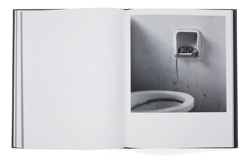 THE HOUSE PROJECT - Roger BALLEN | shashasha - Photography & art