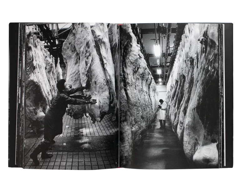 屠場 - 本橋成一 | shashasha 写々者 - 写真集とアートブック
