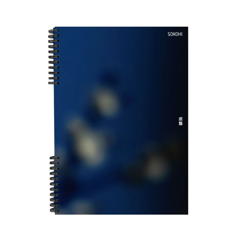 モータウン 写真資料集「Hype & Soul」アル・エイブラムズ 著 PIIO5jVPP_o5agVx.webp