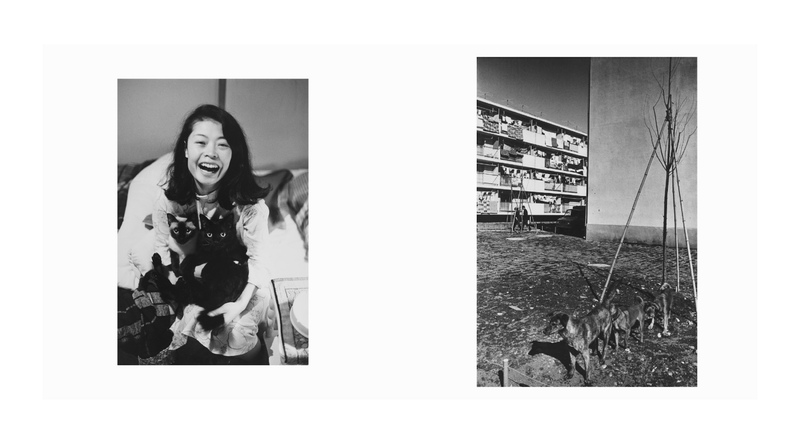 洋子 - 深瀬昌久 | shashasha 写々者 - 写真集とアートブック 洋子 - 深瀬昌久 | shashasha 写々者 - 写真集とアートブック