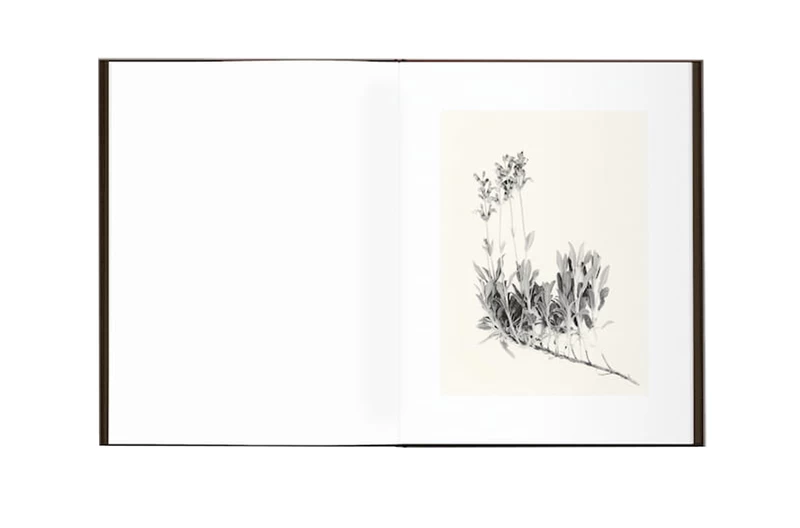 森田幸子さん　Sachiko Morita 写真集　サイン入り Time in Air, Time in Paper - 森田幸子 | shashasha 写々者 - 写真集