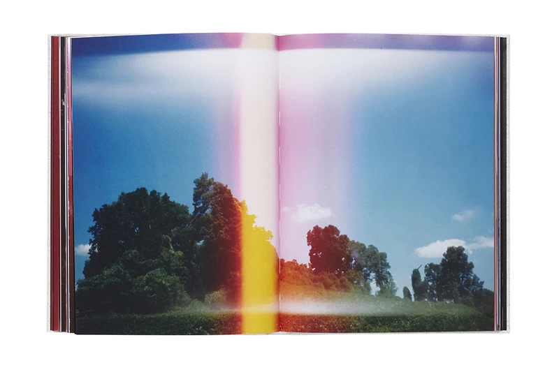 Abandom Reverie` - Mark BORTHWICK | shashasha - Photography & art